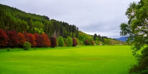 İskoçya'nın En İyi Yürüyüş Rotası: West Hıghland Way Turu