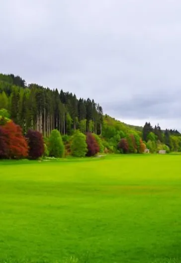 İskoçya Turu | West Highland Way · Loch Lomond