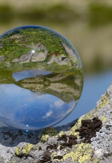 Laz Alpleri (Her Şey Dahil)