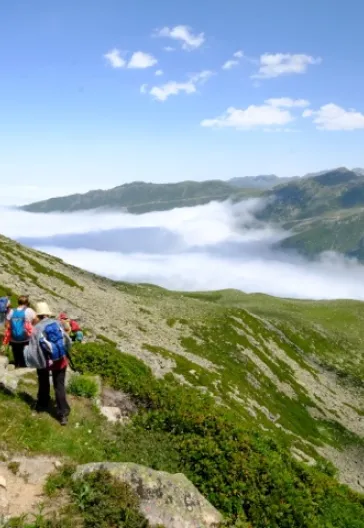 Laz Alpleri (Her Şey Dahil)