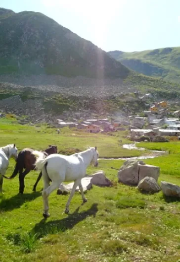 Laz Alpleri (Her Şey Dahil)