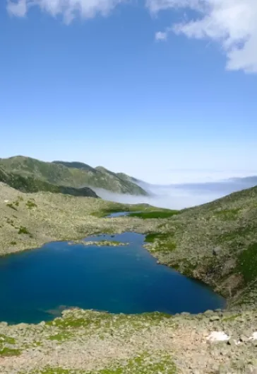 Laz Alpleri (Her Şey Dahil)