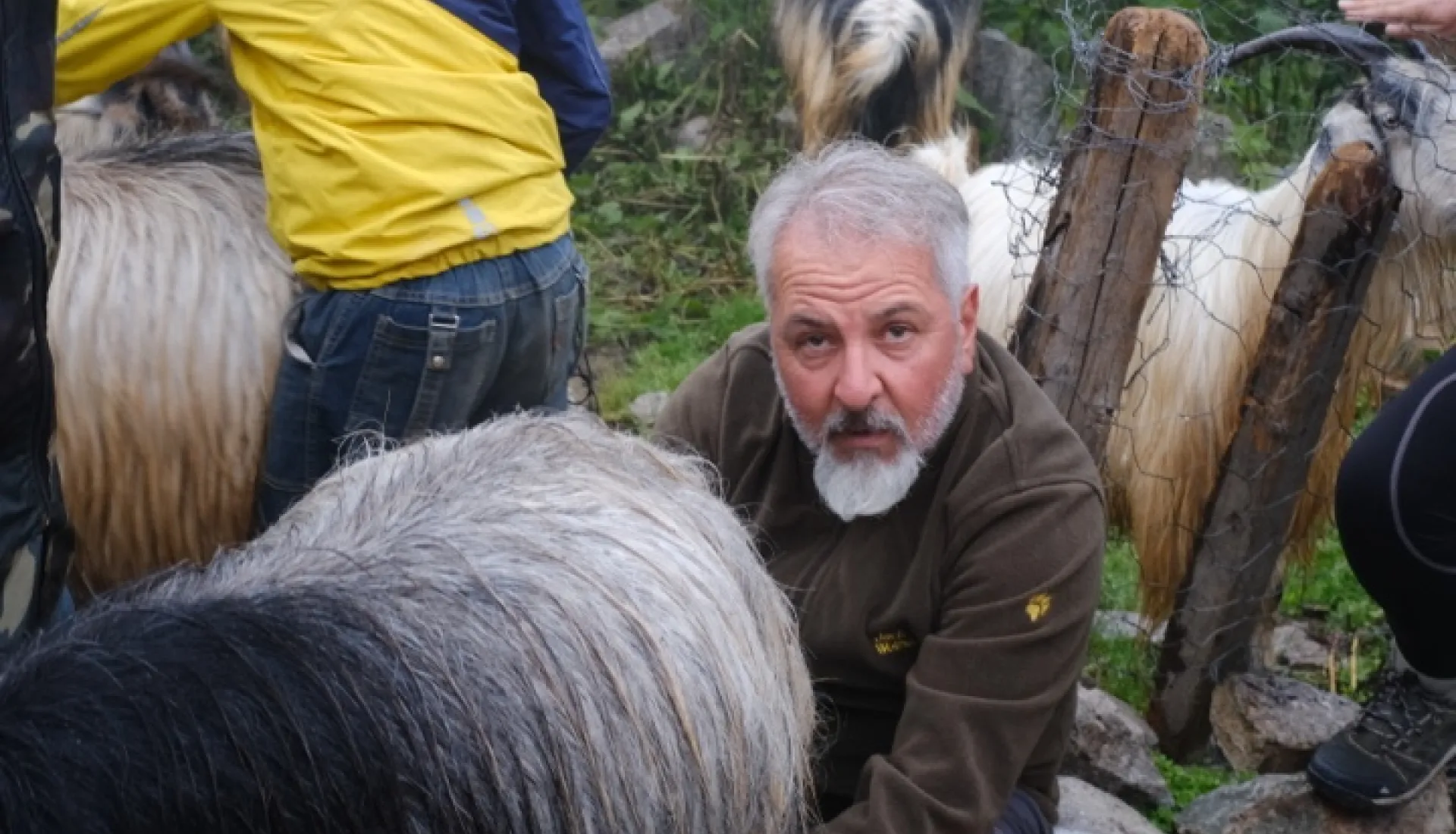 Laz Alpleri