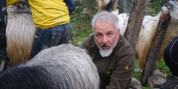Laz Alpleri