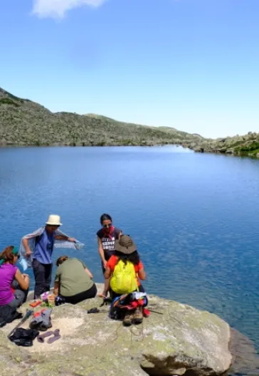 Laz Alpleri (Her Şey Dahil)