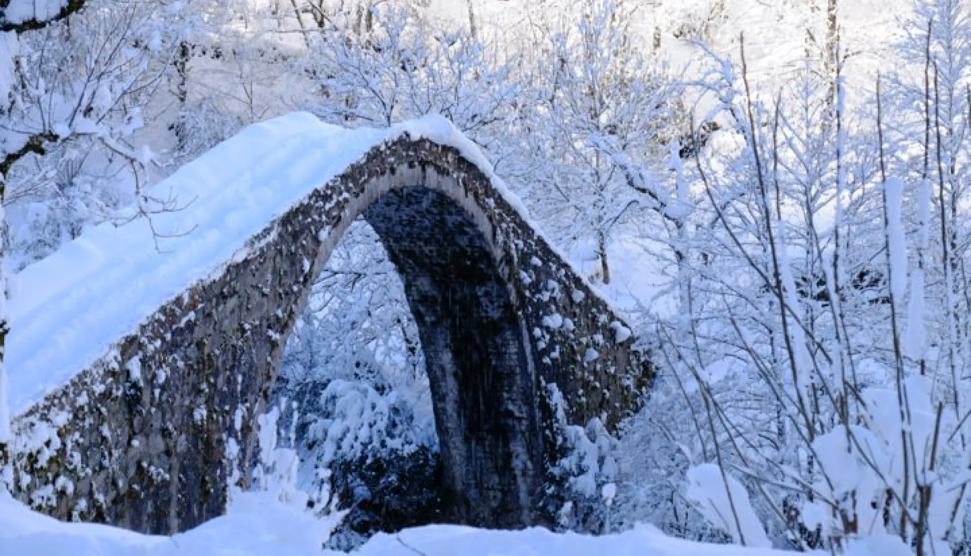 Новогодний тур «Всё включено» по Восточному Черноморью
