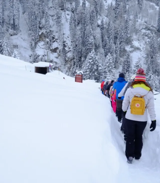 Новогодний тур «Всё включено» по Восточному Черноморью