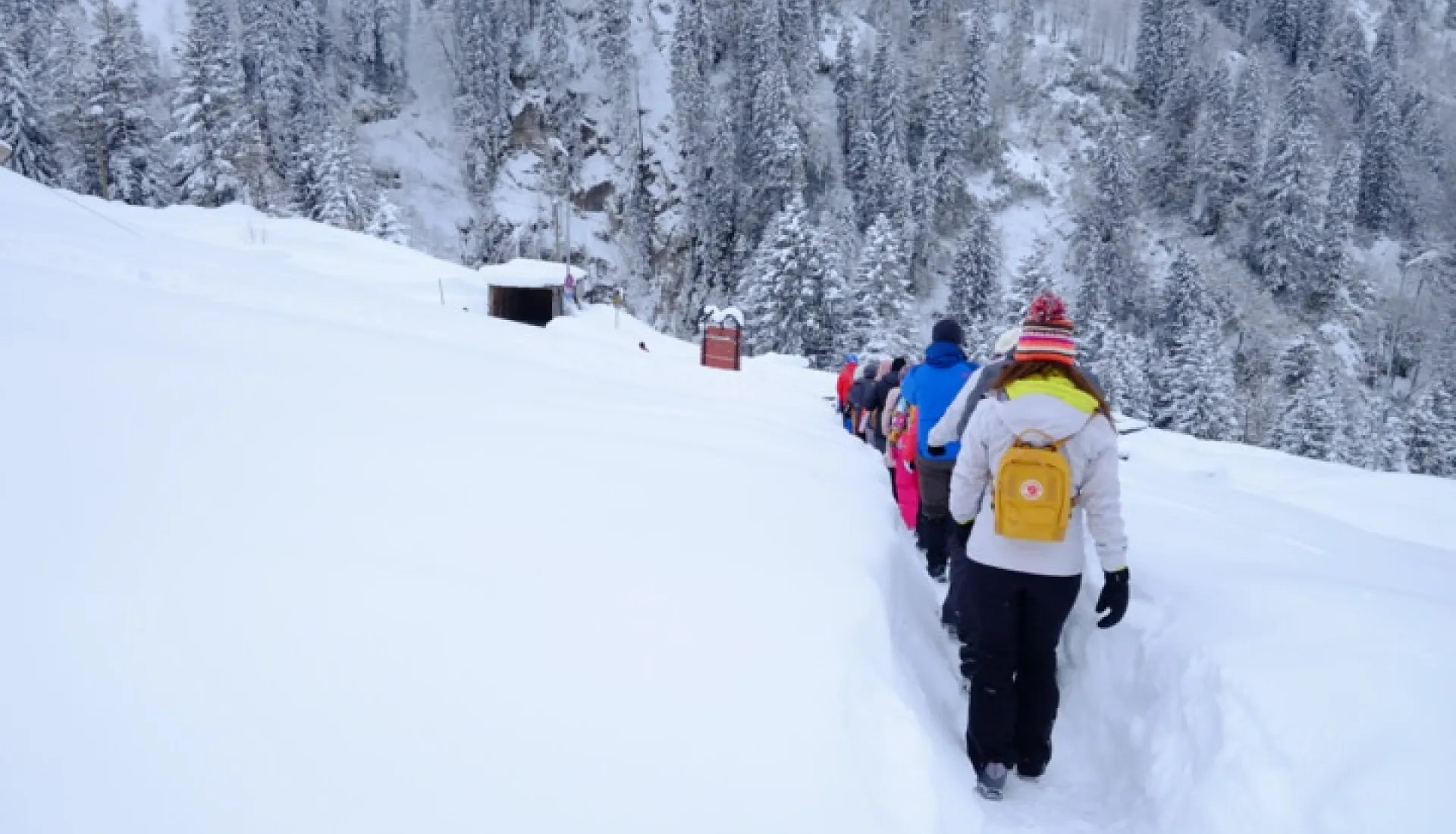 Новогодний тур «Всё включено» по Восточному Черноморью