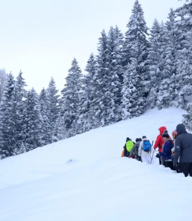 Новогодний тур «Всё включено» по Восточному Черноморью