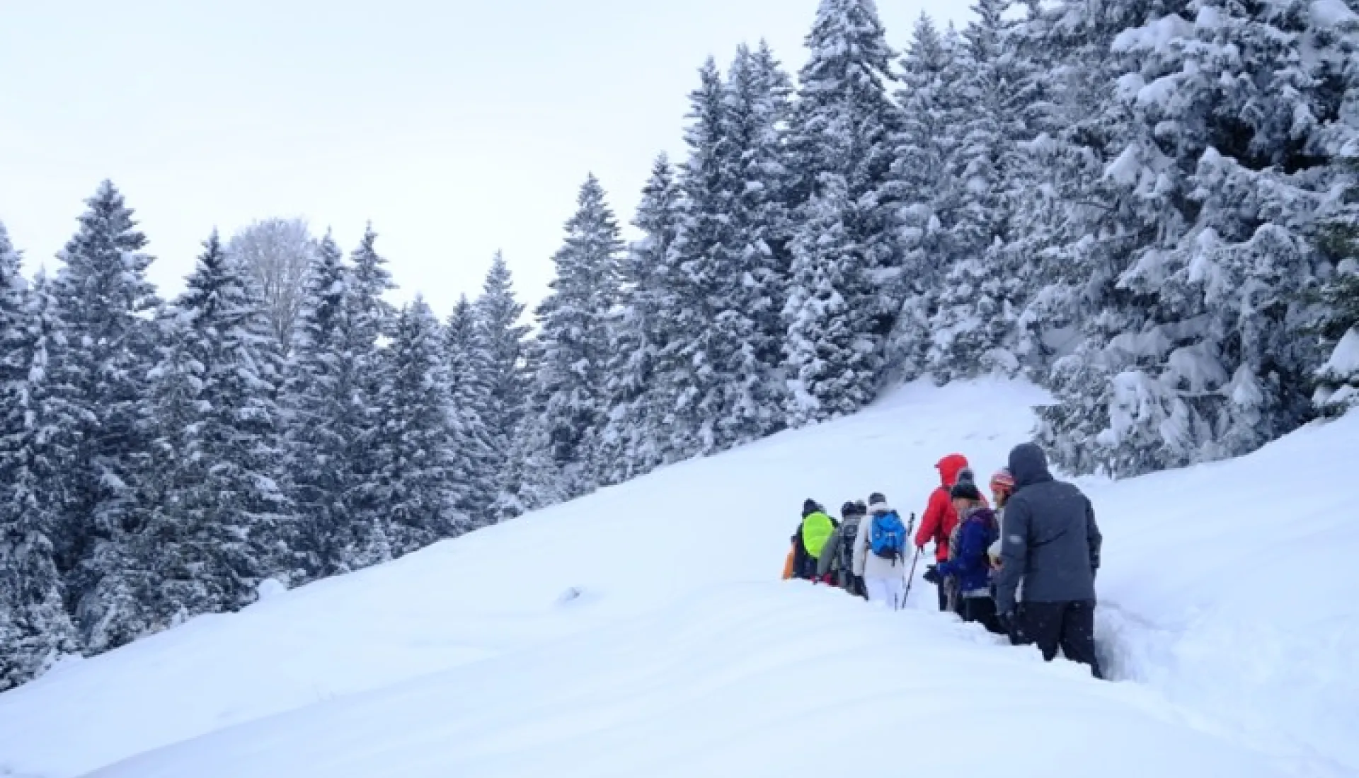 Новогодний тур «Всё включено» по Восточному Черноморью