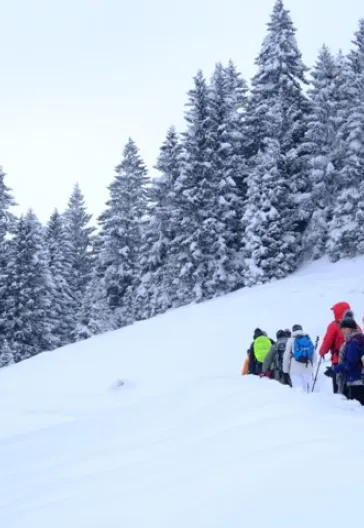 Новогодний тур «Всё включено» по Восточному Черноморью