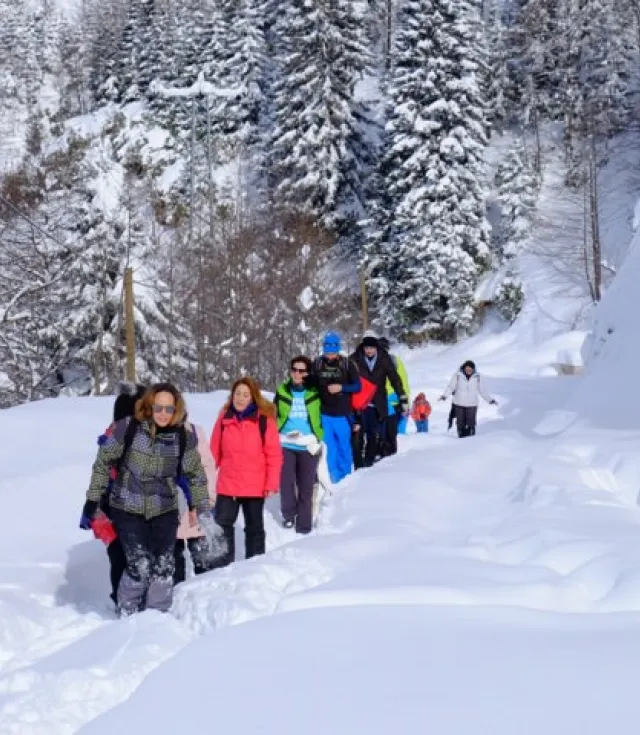 Новогодний тур «Всё включено» по Восточному Черноморью