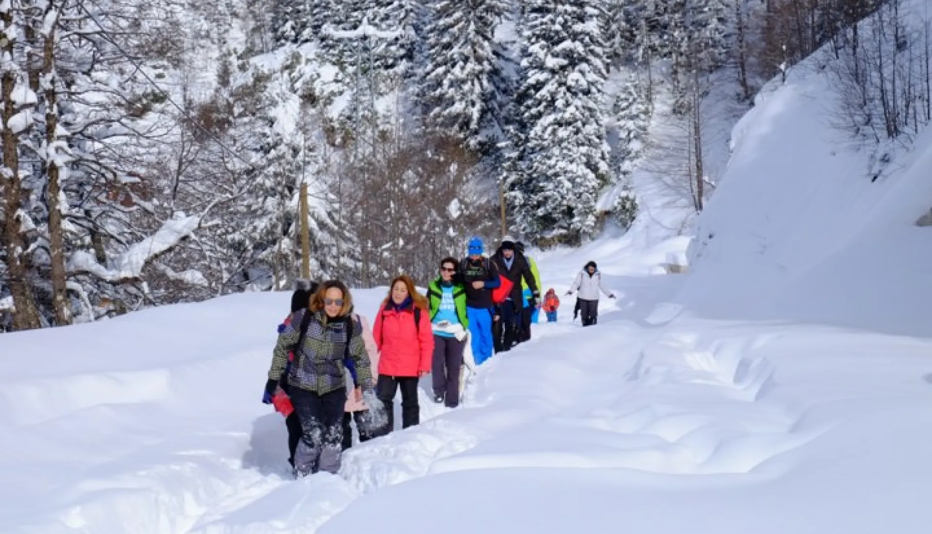 Новогодний тур «Всё включено» по Восточному Черноморью