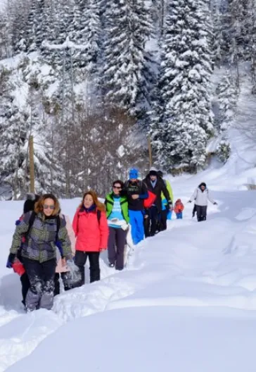 Новогодний тур «Всё включено» по Восточному Черноморью