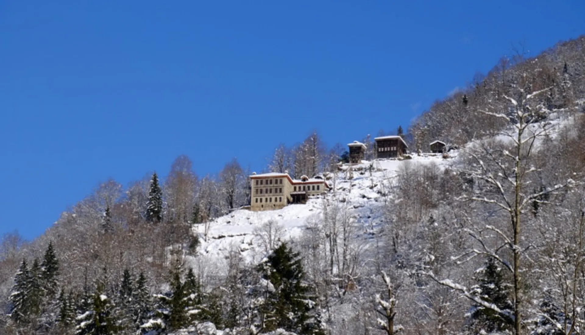 Новогодний тур «Всё включено» по Восточному Черноморью