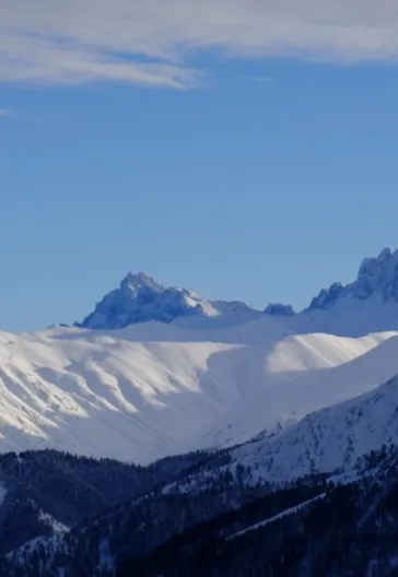Новогодний тур «Всё включено» по Восточному Черноморью