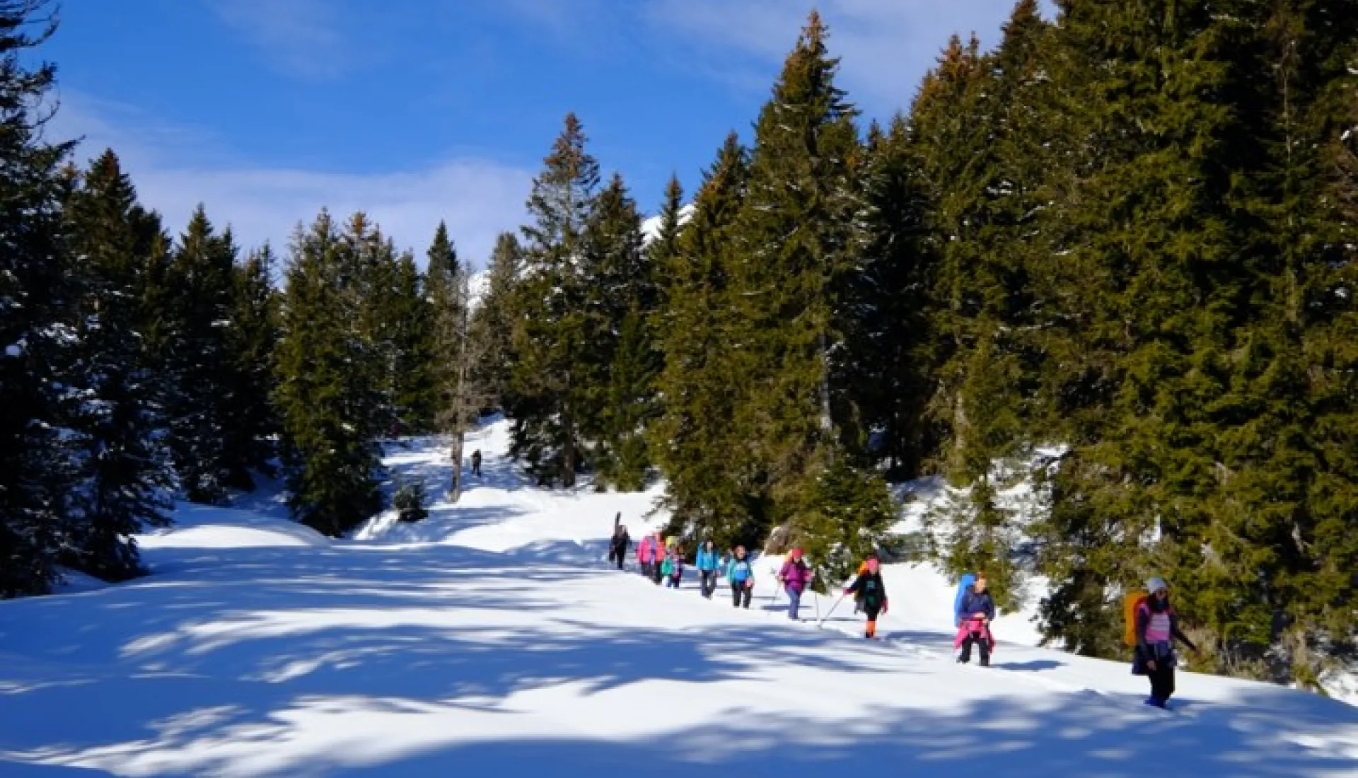 Новогодний тур «Всё включено» по Восточному Черноморью