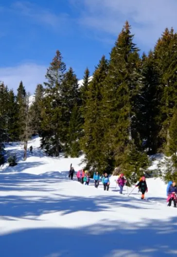 Новогодний тур «Всё включено» по Восточному Черноморью