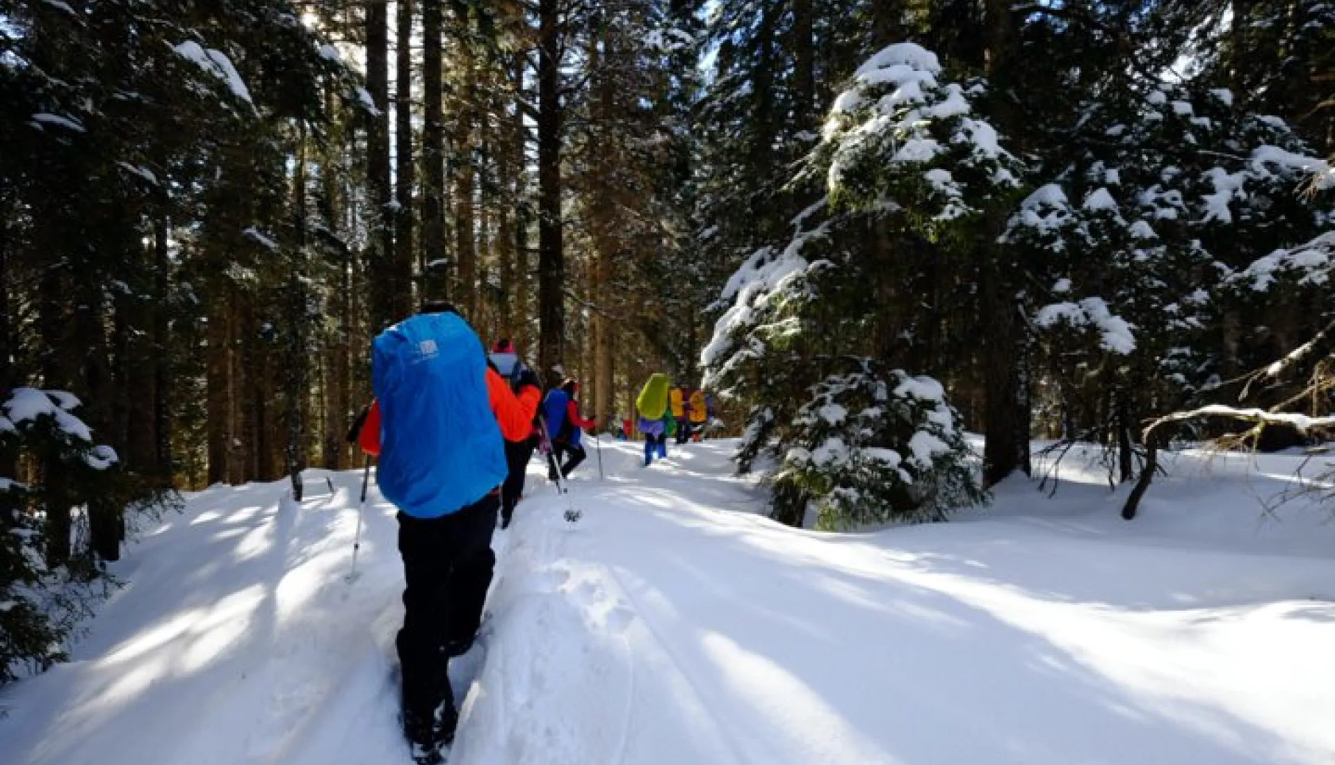 Новогодний тур «Всё включено» по Восточному Черноморью