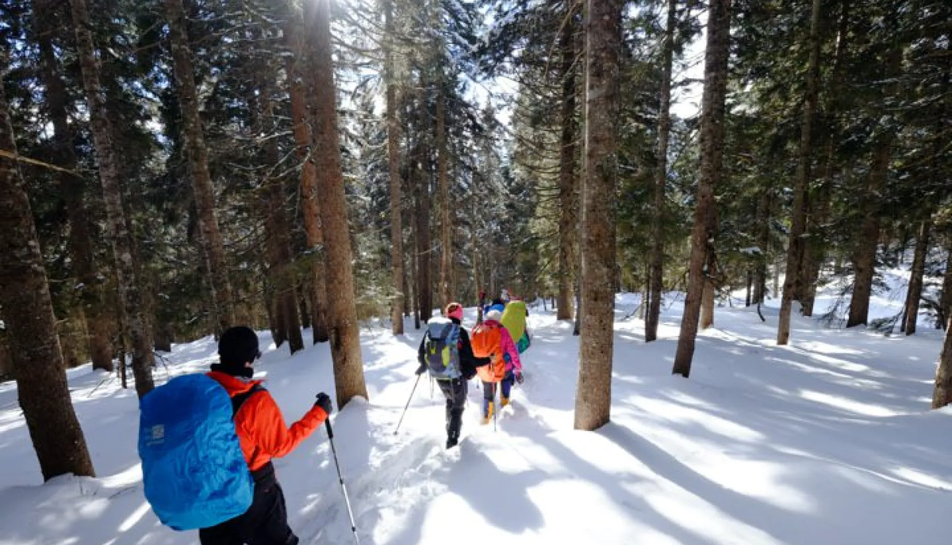 Новогодний тур «Всё включено» по Восточному Черноморью