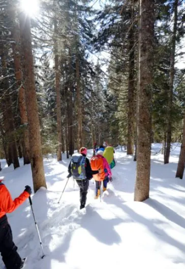 Новогодний тур «Всё включено» по Восточному Черноморью