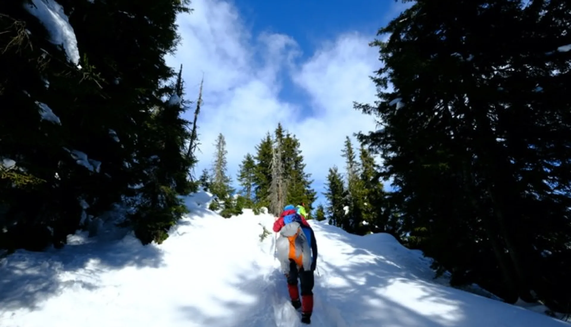 Новогодний тур «Всё включено» по Восточному Черноморью