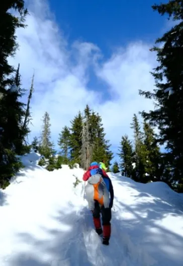 Новогодний тур «Всё включено» по Восточному Черноморью