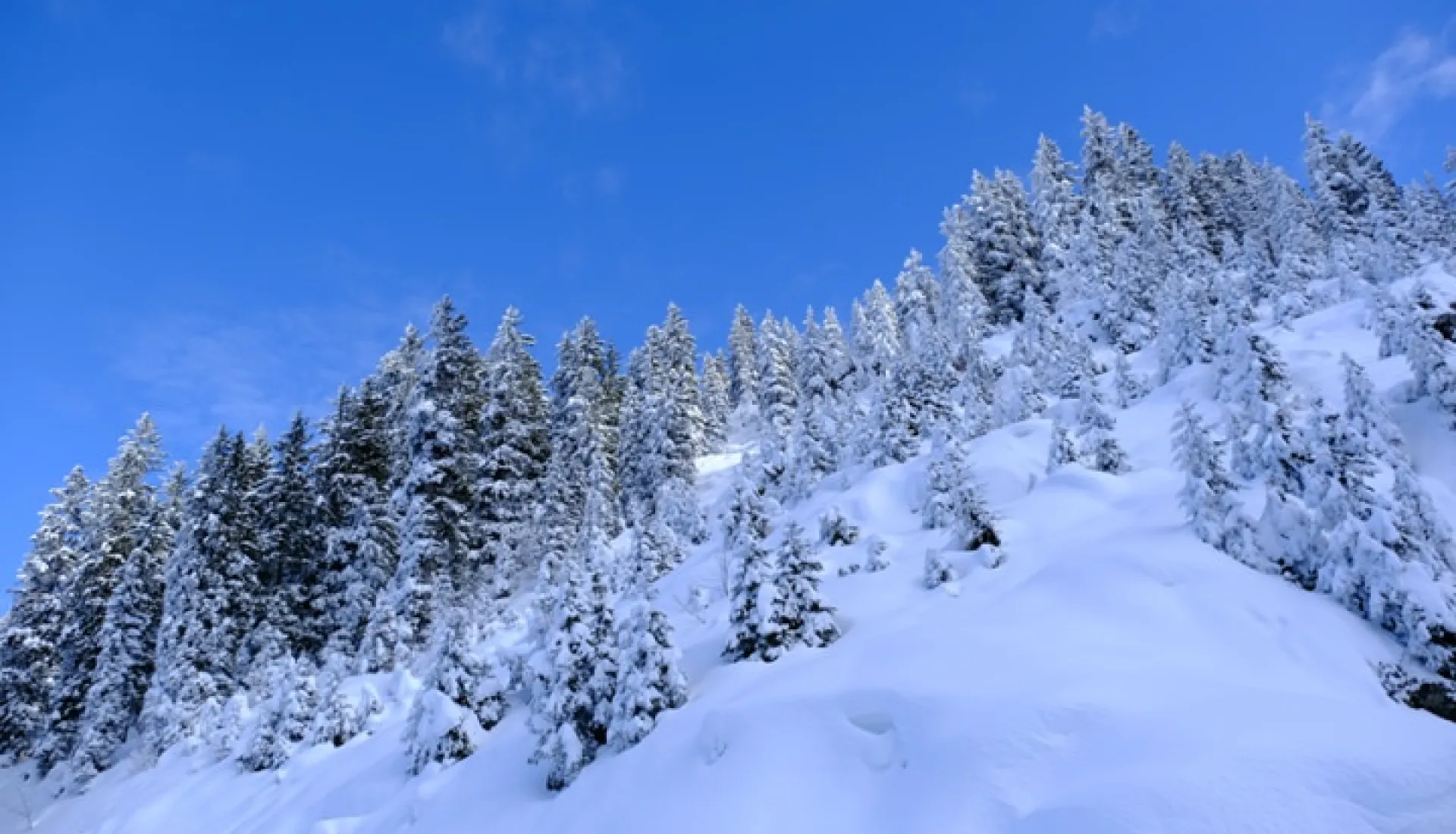 Новогодний тур «Всё включено» по Восточному Черноморью