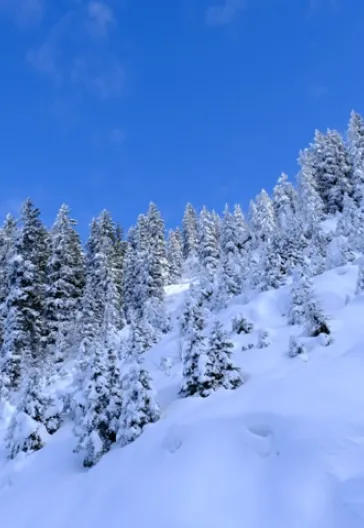Новогодний тур «Всё включено» по Восточному Черноморью