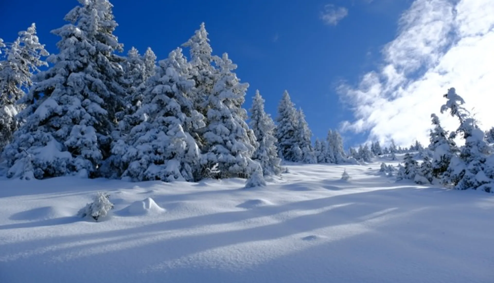 Новогодний тур «Всё включено» по Восточному Черноморью