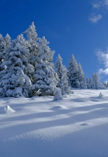 Новогодний тур «Всё включено» по Восточному Черноморью