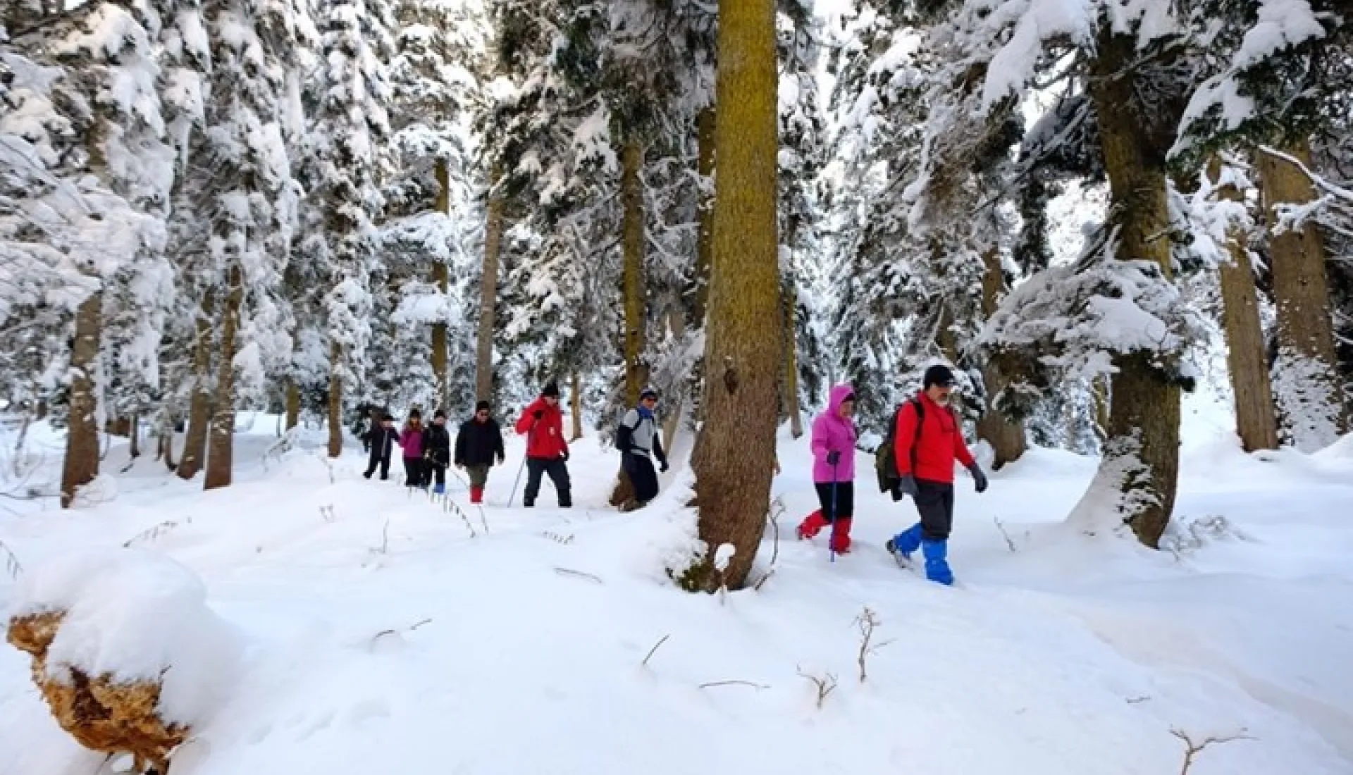 Новогодний тур «Всё включено» по Восточному Черноморью