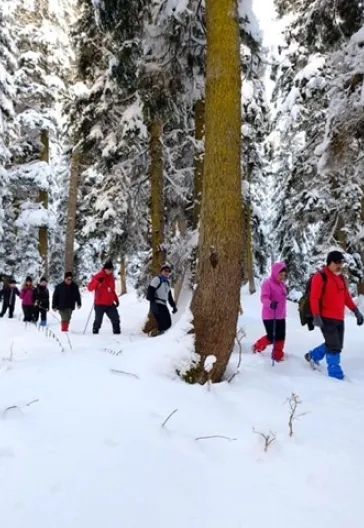 Новогодний тур «Всё включено» по Восточному Черноморью