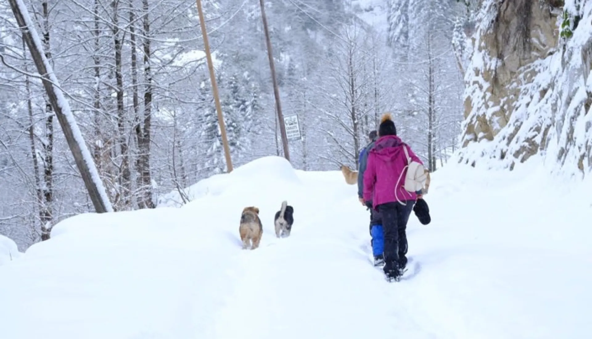 Новогодний тур «Всё включено» по Восточному Черноморью