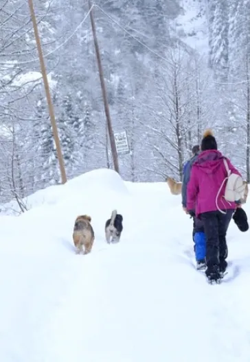 Новогодний тур «Всё включено» по Восточному Черноморью