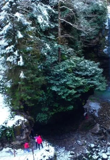 Новогодний тур «Всё включено» по Восточному Черноморью