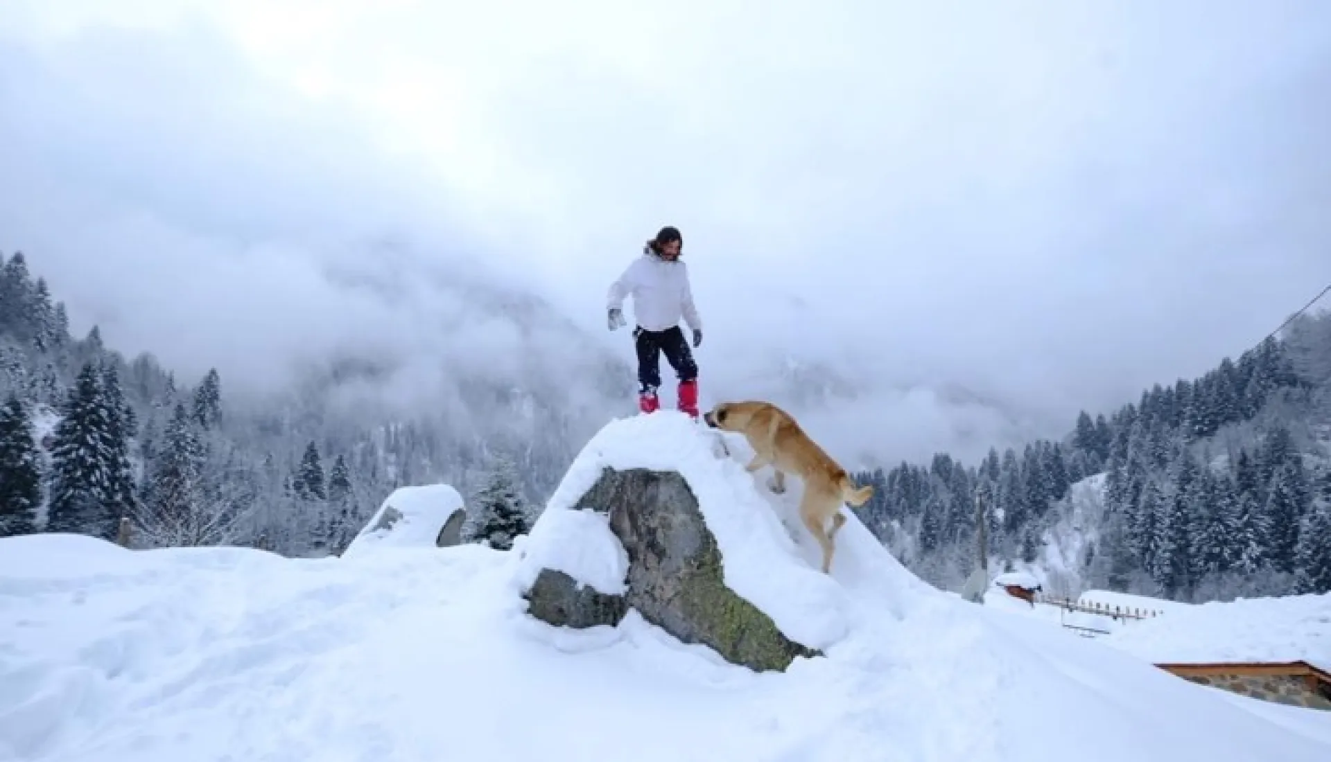 Новогодний тур «Всё включено» по Восточному Черноморью
