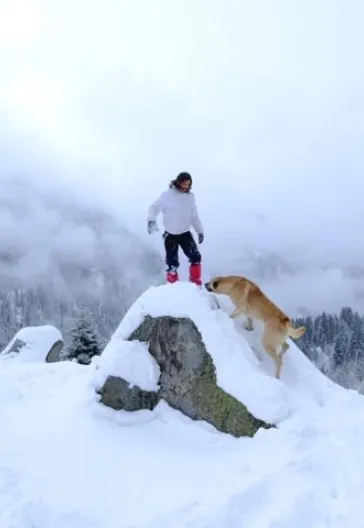 Новогодний тур «Всё включено» по Восточному Черноморью