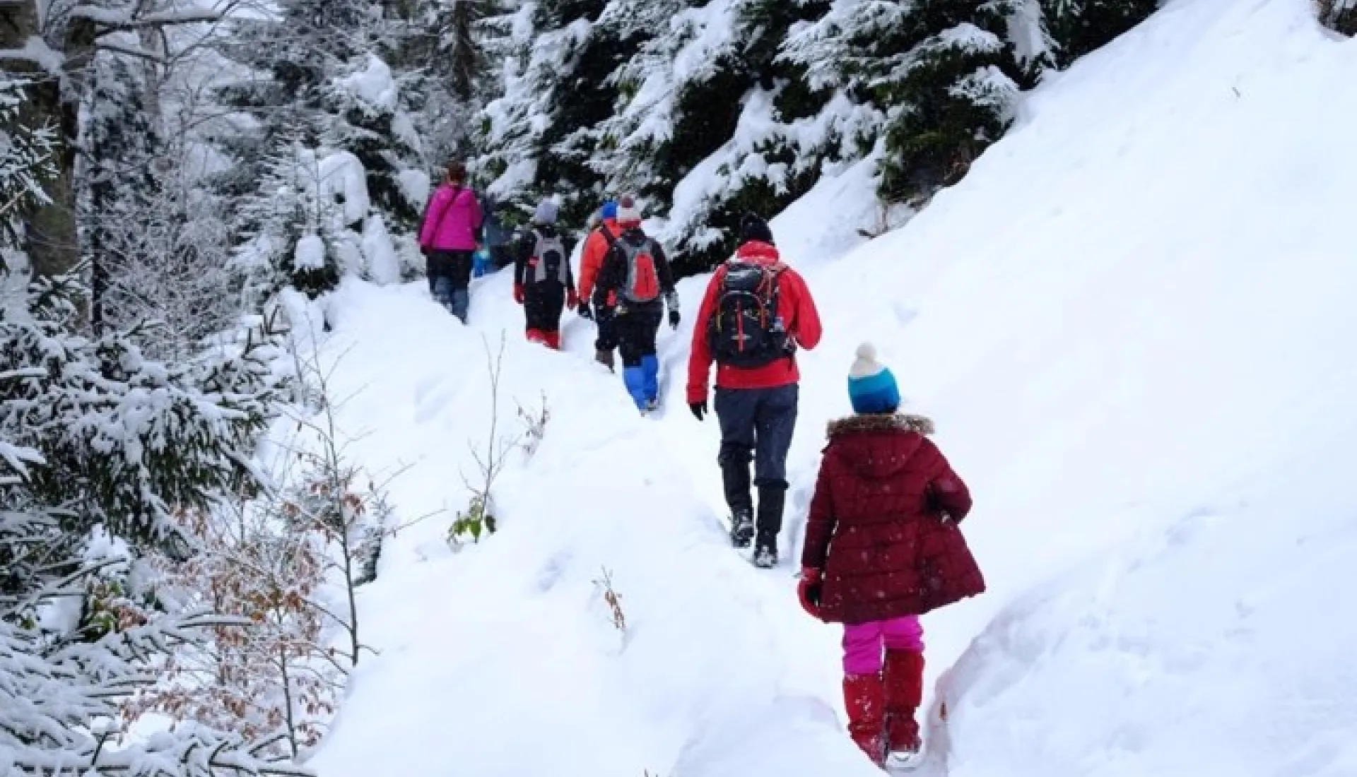 Новогодний тур «Всё включено» по Восточному Черноморью