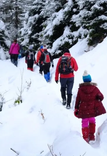Новогодний тур «Всё включено» по Восточному Черноморью