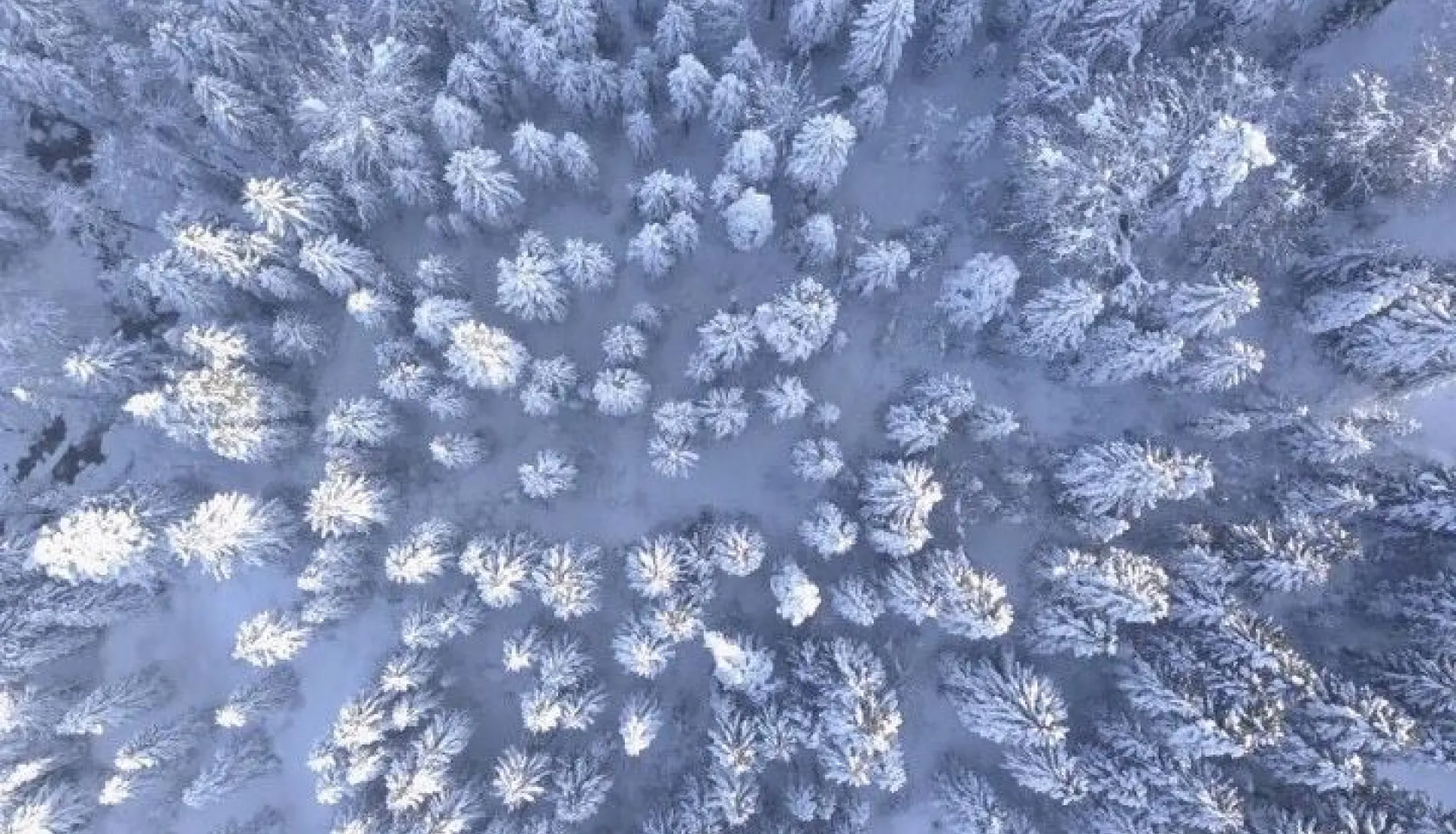 Новогодний тур «Всё включено» по Восточному Черноморью