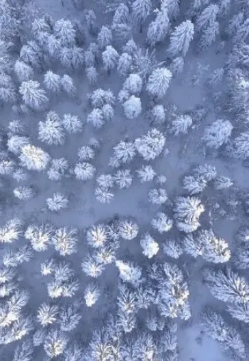 Новогодний тур «Всё включено» по Восточному Черноморью