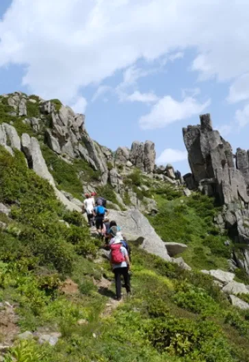 Laz Alpleri (Her Şey Dahil)