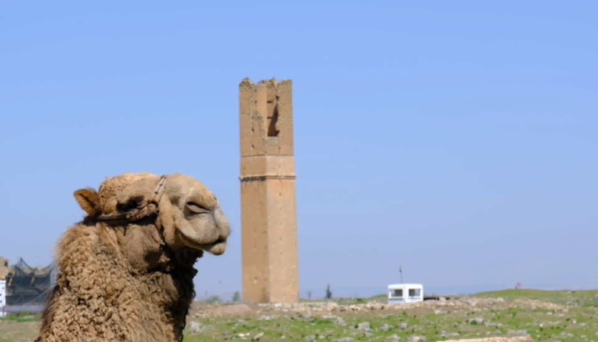 Тур по Месопотамии от нулевой точки истории до Немрута