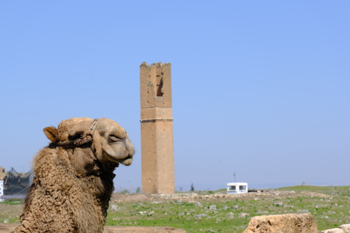 Tarihin Sıfır Noktasından Nemrut’a Mezopotamya Turu