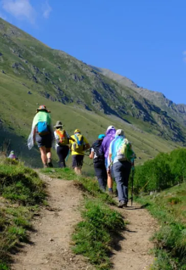 Транс Качкар