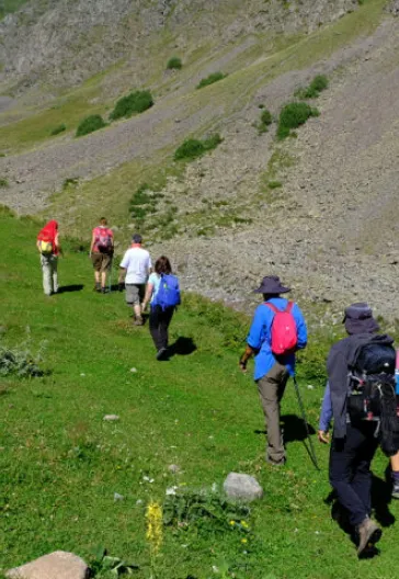 Транс Качкар