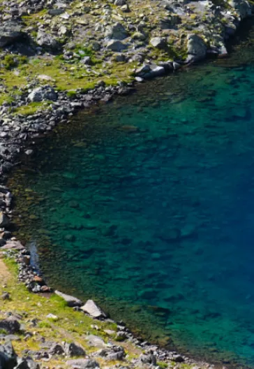 Транс Качкар