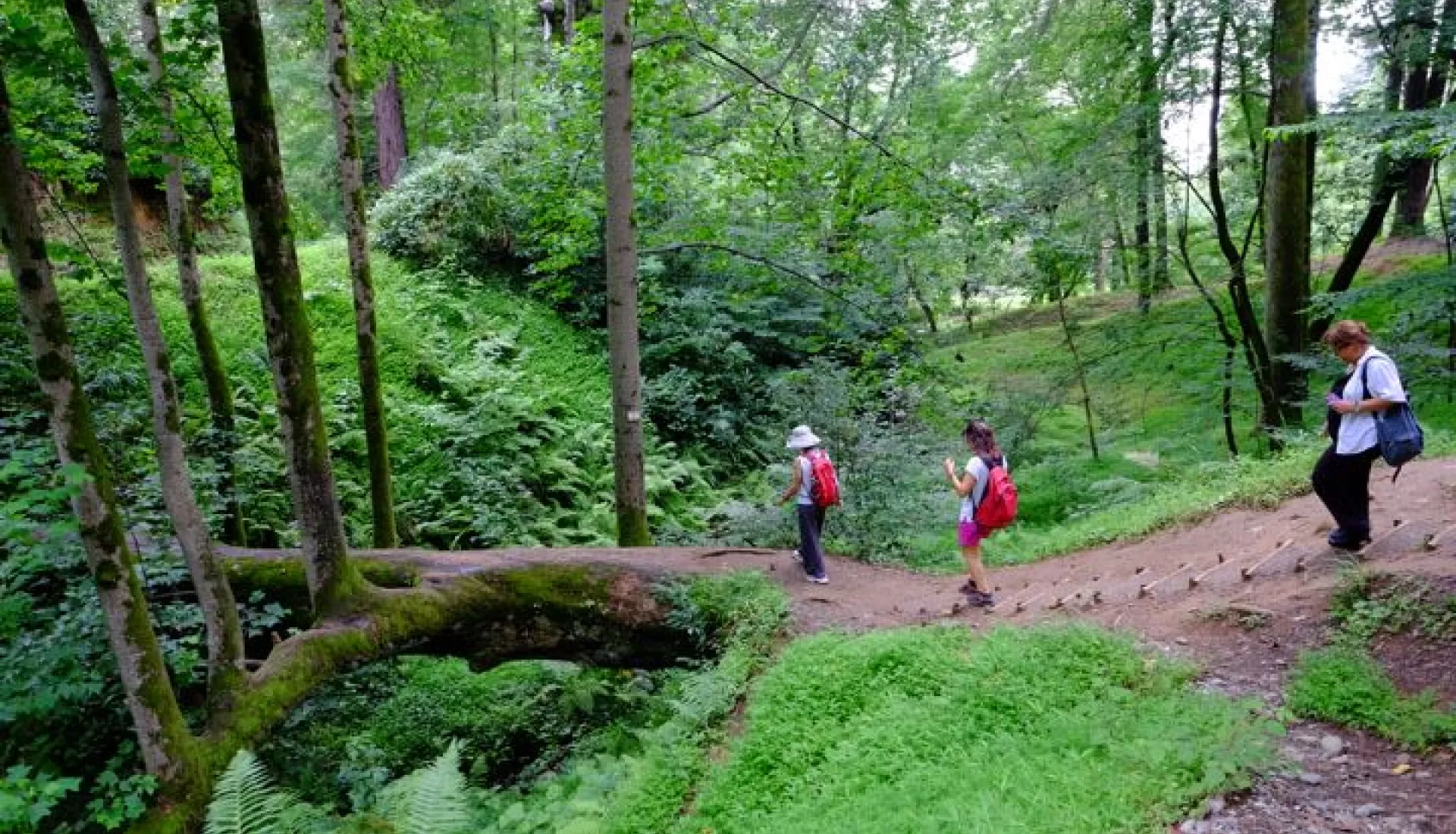 Tüm Doğu Karadeniz ve Gürcistan Turu