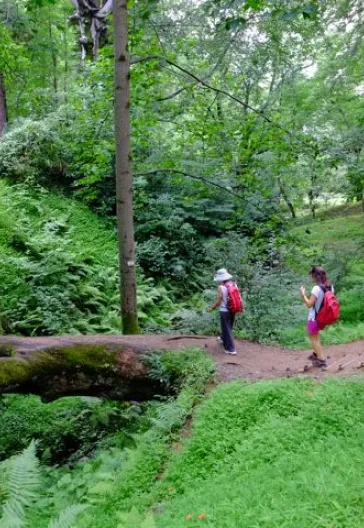 Tüm Doğu Karadeniz ve Gürcistan Turu